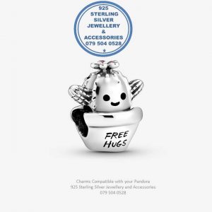 Cute Succulent Free Hugs  Sterling Silver Charm Compatible With Your Pandora. 