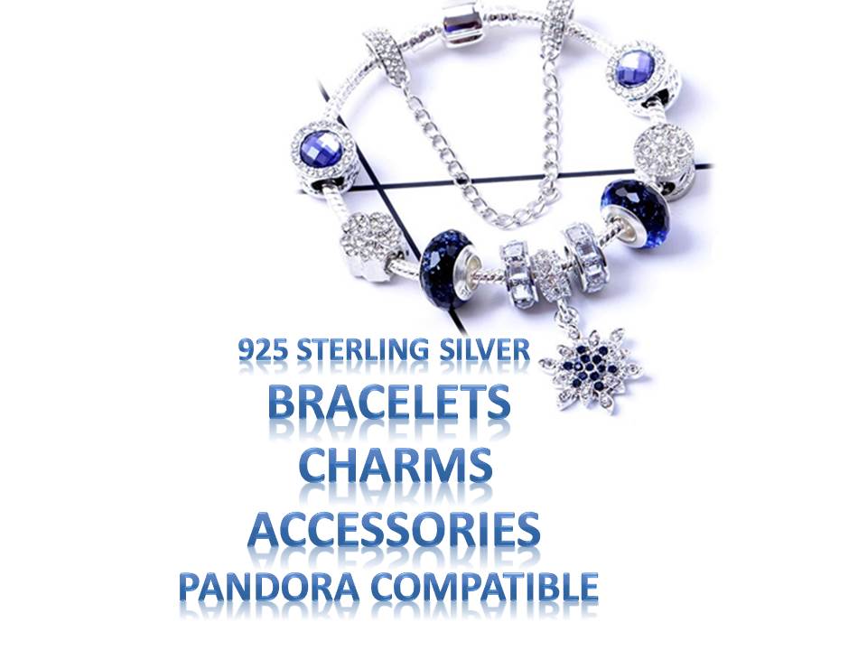 Sterling Silver Charms Pandora Compatible Bracelet Safety Chain Accessories